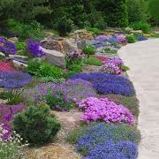 Betty Ford Alpine Gardens, Colorado