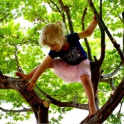 Climb a Tree