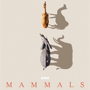 Mammals