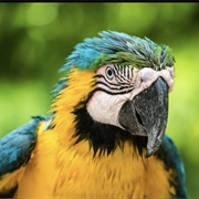 Isla Tierra Bomba, Colombia