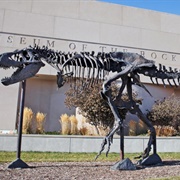 Musem of the Rockies, Montana