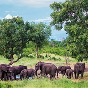 Majete Wildlife Reserve, Malawi