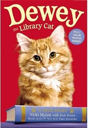 Dewey: The Library Cat (Vicki Myron)