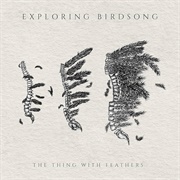 Exploring Birdsong - The Things With Feathers