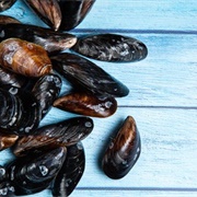 Australian Black Mussel