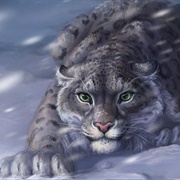 Snow Leopard