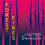 Lalitree Darnielle - Forest Fires