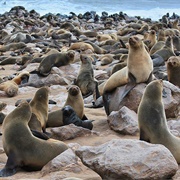 Cape Cross, Namibia