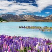 Lake Tekapo, New Zealand