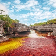 Caño Cristales