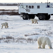 Churchill, Canada