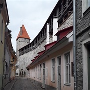 Hellemann Tower and City Walls