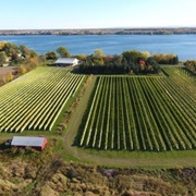 Tour Raisin Houblon