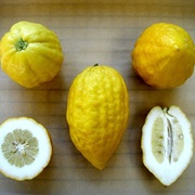 Citron Peel