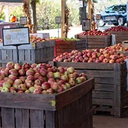 Virginia Apples