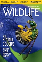 National Wildlife (Magazine)