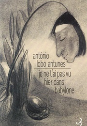 Je Ne T&#39;ai Pas Vu Hier Soir Dans Babylone (António Lobo Antunes)