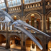 Natural History Museum, England, UK