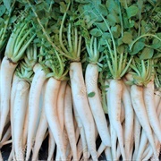 Cook and Eat Daikon