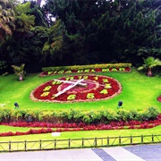 Flower Clock, Chile