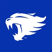 Kentucky Wildcats