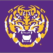 LSU Tigers