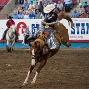 Greeley Stampede, Colorado