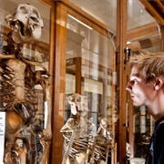 Hrdlička Museum of Anthropology