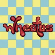 Teenage Dirtbag - Wheatus