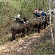 Ride an African Elephant