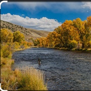 Fly Fishing, Colorado