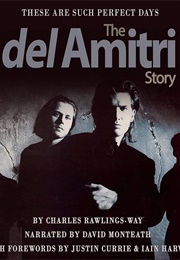 These Are Such Perfect Days: The Del Amitri Story (Charles Rawlings- Way)