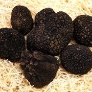 Burgundy Truffle