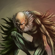 Vulture