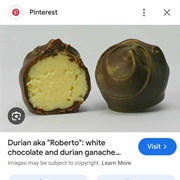 Chocolate Covered Durian