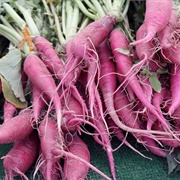 Red Radish