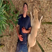 Lost: &quot;The End&quot; (S6,E18)