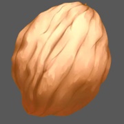 Walnut (Shell)