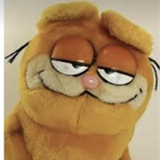 Garfield Plush