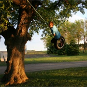 Swinging on Tire Swing