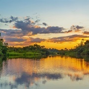 Amazonas (Brazilian State)