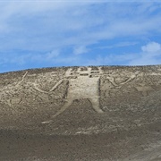 Atacama Giant