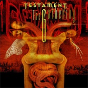 D.N.R. (Do Not Resuscitate) - Testament