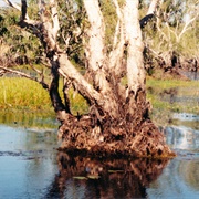 Kakadu National Park, Australia