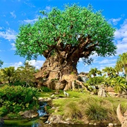 Disney&#39;s Animal Kingdom