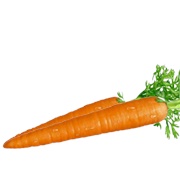 Whole Carrot