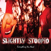 Everything You Need - Slightly Stoopid