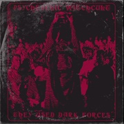 They Used Dark Forces - Psychedelic Witchcult