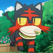 948. That&#39;s Why the Litten Is a Scamp!