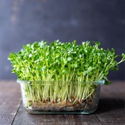 Microgreens